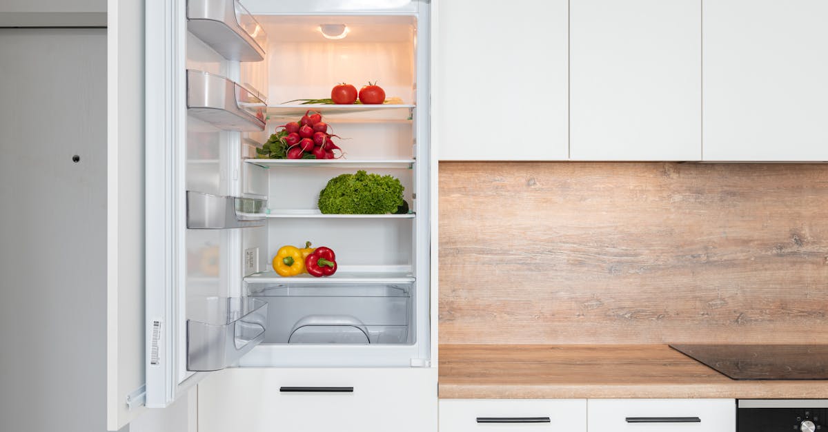 Contemporary kitchen with refrigerator filled with fresh bright tomatoes lettuce and bell peppers